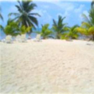 Anchorage Resort Caye Caulker Bagian luar foto